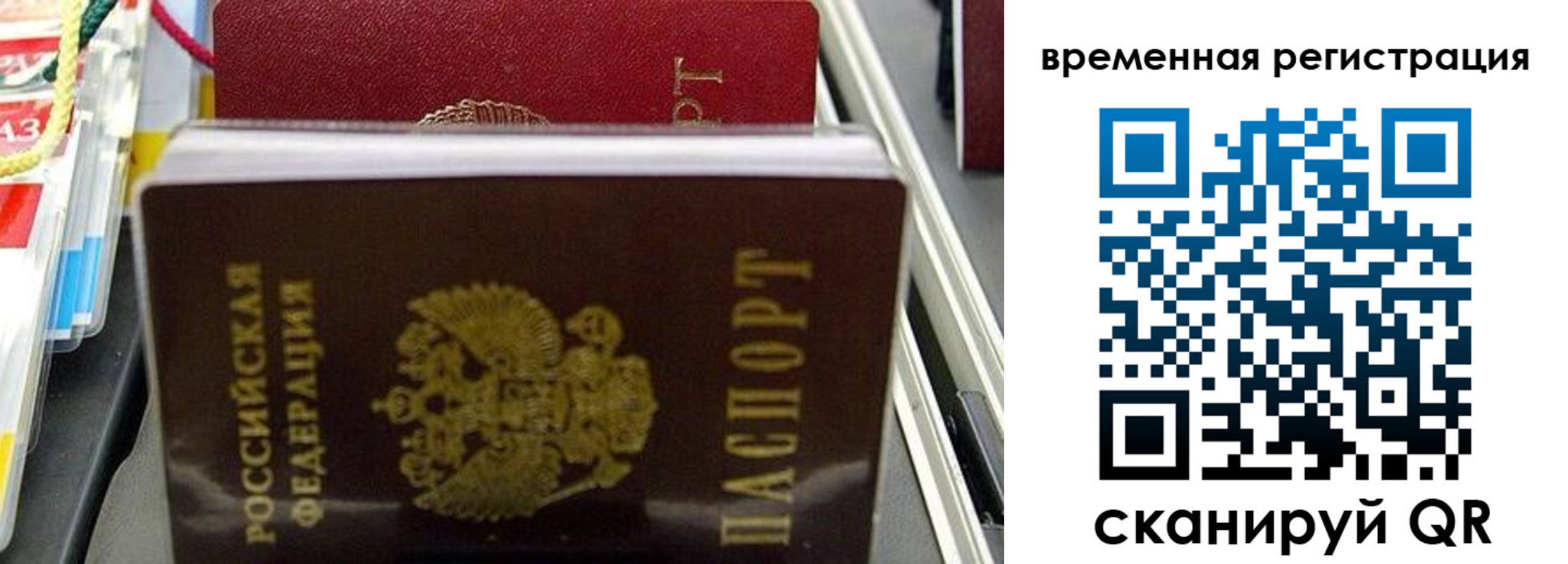 прописка законно в Павловске